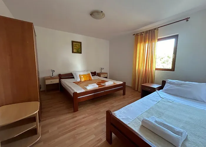 Apartman Put Vidaka *