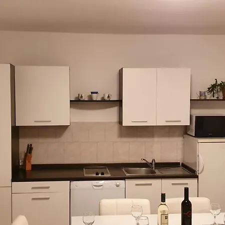 Put Vidaka *