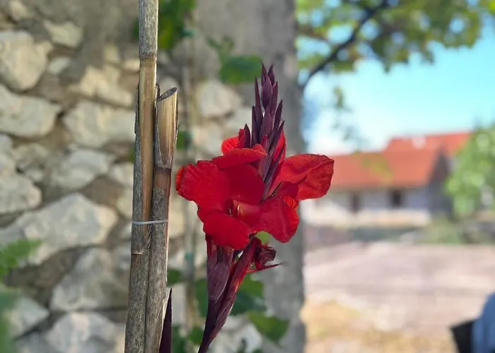 Put Vidaka Apartmán